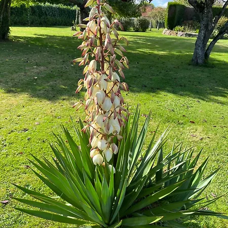 La Du Fresneaux 3* Aunou-sur-Orne