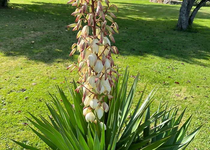 La Du Fresneaux 3* Aunou-sur-Orne